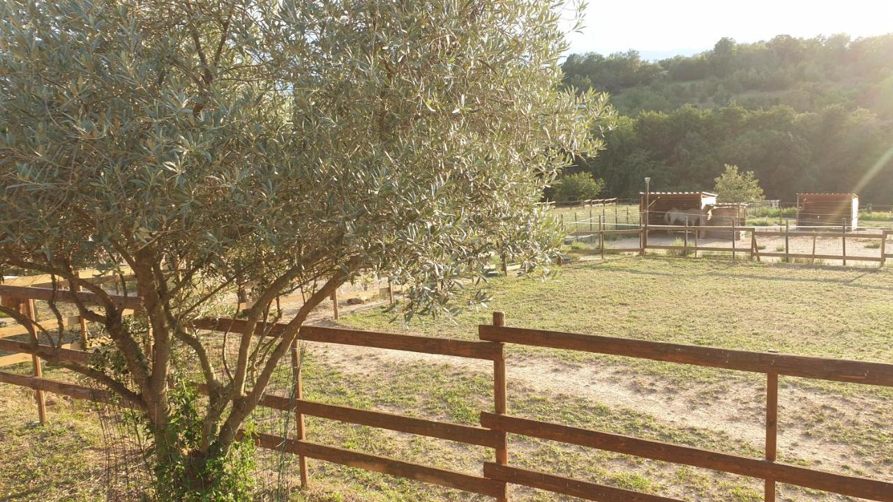Chambre D'Hotes Le Petit Ranch Los Masos エクステリア 写真