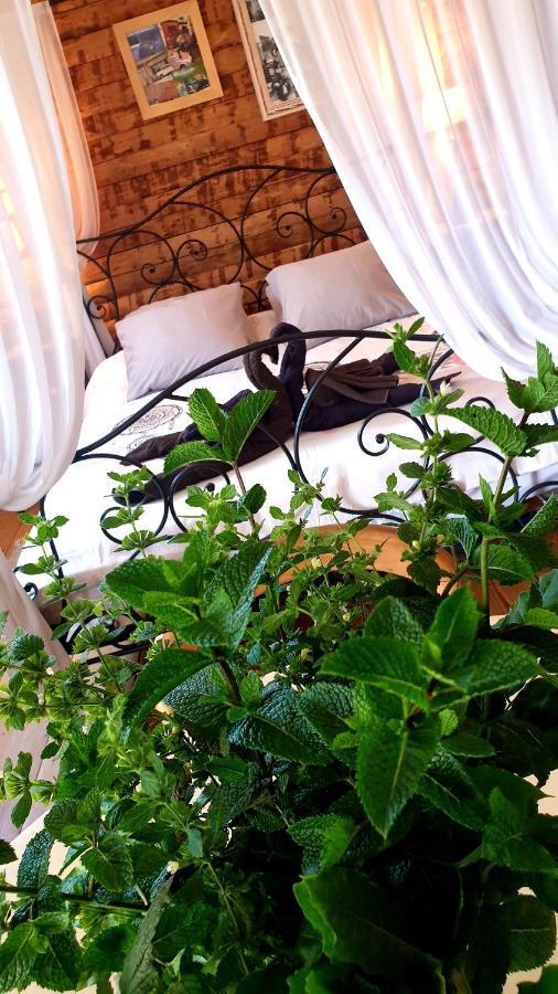Chambre D'Hotes Le Petit Ranch Los Masos エクステリア 写真