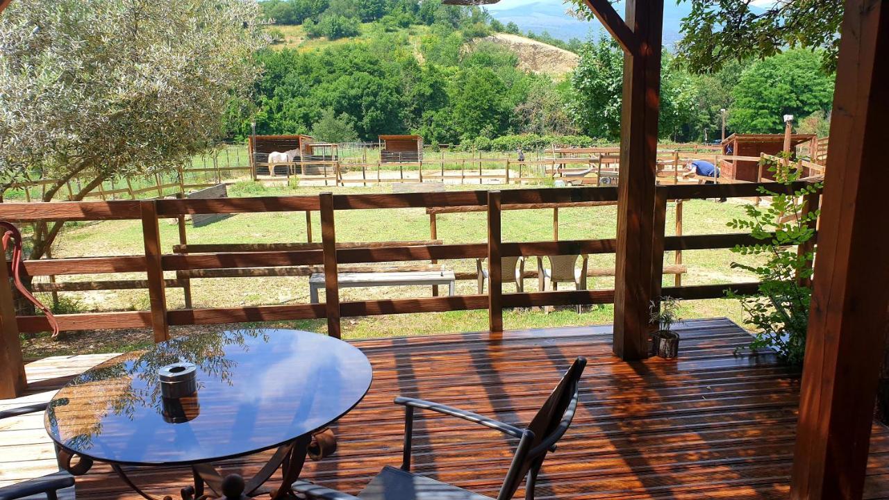 Chambre D'Hotes Le Petit Ranch Los Masos エクステリア 写真
