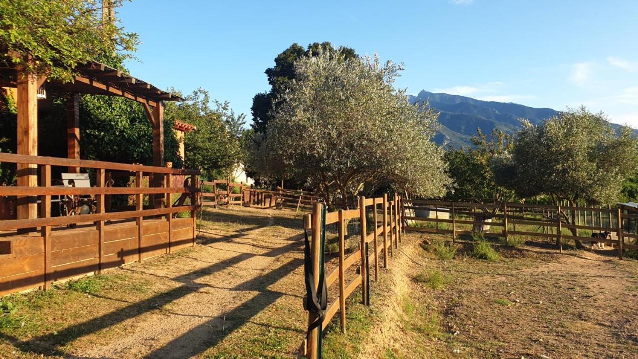 Chambre D'Hotes Le Petit Ranch Los Masos エクステリア 写真