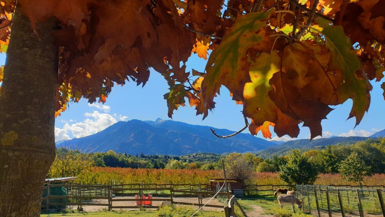 Chambre D'Hotes Le Petit Ranch Los Masos エクステリア 写真
