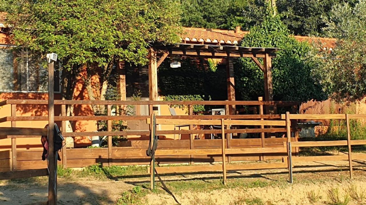 Chambre D'Hotes Le Petit Ranch Los Masos エクステリア 写真