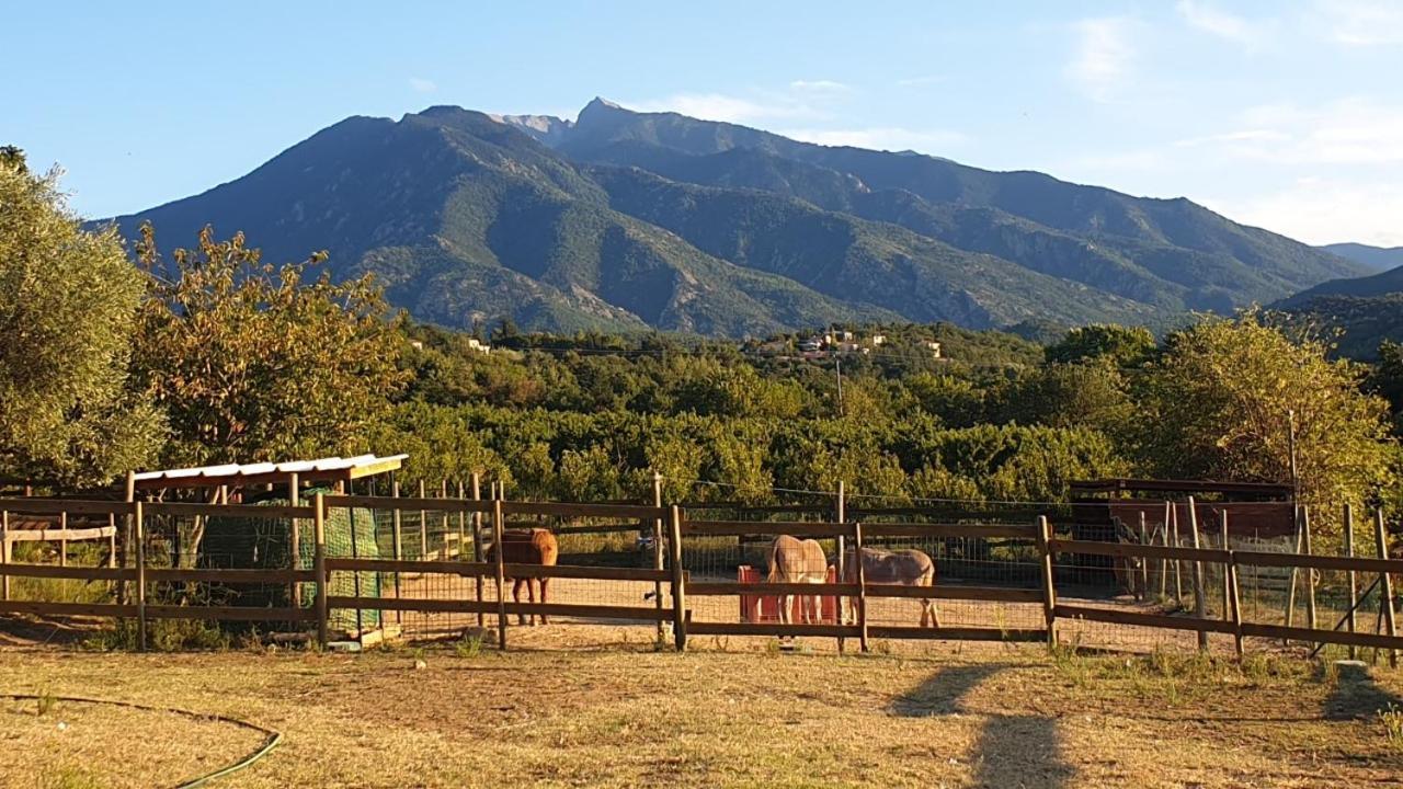 Chambre D'Hotes Le Petit Ranch Los Masos エクステリア 写真