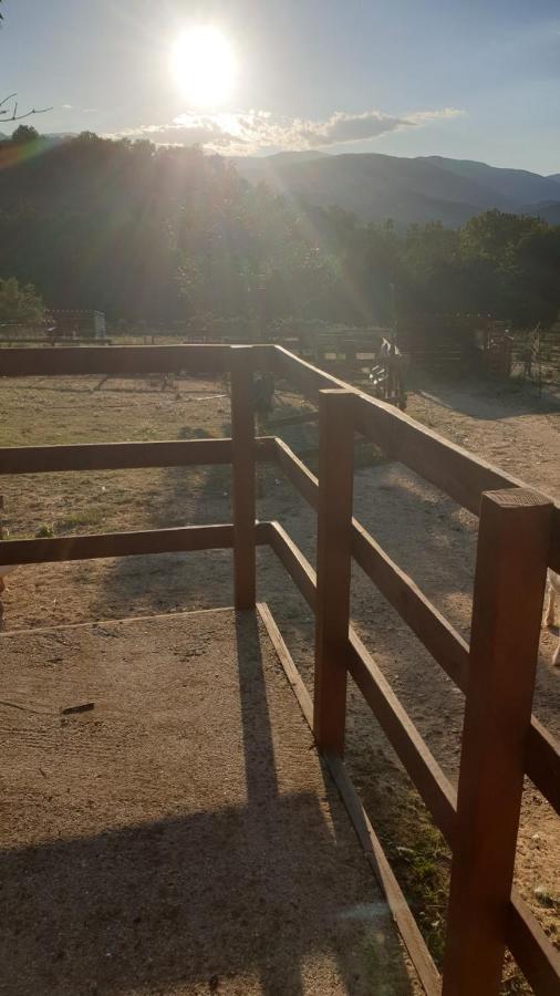 Chambre D'Hotes Le Petit Ranch Los Masos エクステリア 写真