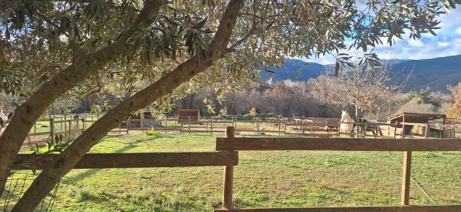 Chambre D'Hotes Le Petit Ranch Los Masos エクステリア 写真